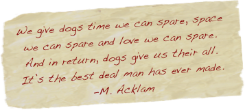 We give dogs time we can spare, space we can spare and love we can spare.  And in return, dogs give us their all.  It’s the best deal man has ever made. 
-M. Acklam
